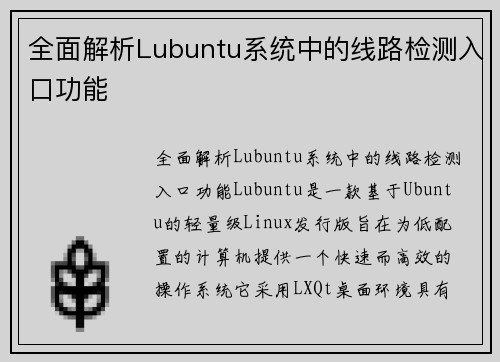 全面解析Lubuntu系统中的线路检测入口功能